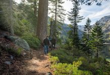 Aenean gravida vitae consequat lorem fermentum rutrum nunc id risus