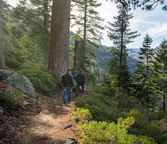 Aenean gravida vitae consequat lorem fermentum rutrum nunc id risus