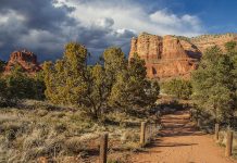 Donec tempus urna risus