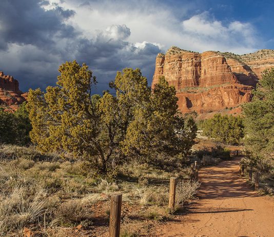 Donec tempus urna risus