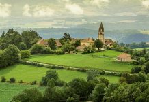 Videamus animi partes quarum conspec