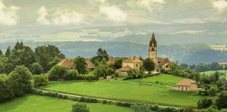 Videamus animi partes quarum conspec