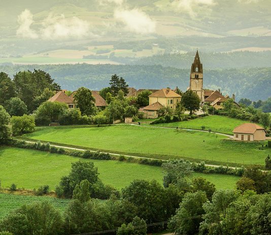 Videamus animi partes quarum conspec