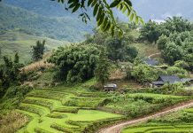 Aliquam vitae pede mau pre tium nec