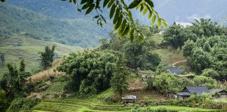 Aliquam vitae pede mau pre tium nec