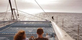 Aenean ligula mol stie viverra