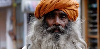 Proin dui sodales imperdiet sit sapien fames ac luctus