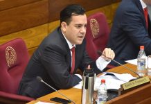 Rodolfo Friedmann presentó al senado la denuncia de los artistas y pide informe a APA