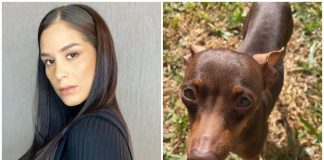 Se perdió Horacio, el perrito de Fabi Martínez