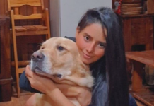 Jessi Franco da su postura con respecto a la pensión alimenticia que se otorgó a unas mascotas en Brasil