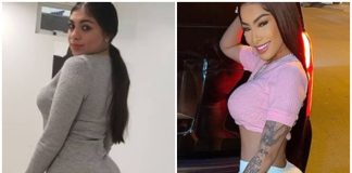 Comparan a la novia del exdiputado Portillo con Yailin “la más viral”