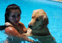 Marly Figueredo es “la encantadora de animales”