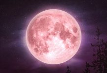 Atención amantes de la astronomía, vamos a tener ´´Luna Rosa´´