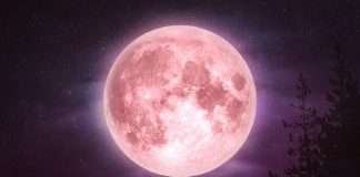 Atención amantes de la astronomía, vamos a tener ´´Luna Rosa´´