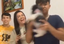 Animaleros denuncian a Tiktokers por maltratar a un perrito