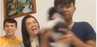 Animaleros denuncian a Tiktokers por maltratar a un perrito