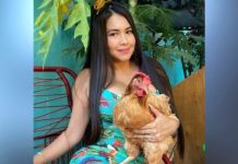 Hortensia, la gallina de Laurys Diva ya se encuentra mejor