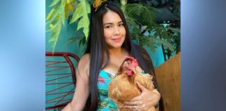 Hortensia, la gallina de Laurys Diva ya se encuentra mejor