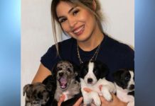 Nadia Portillo busca hogar para cachorritos