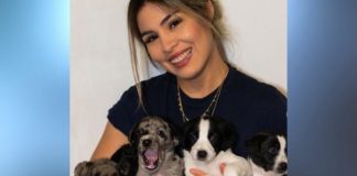 Nadia Portillo busca hogar para cachorritos