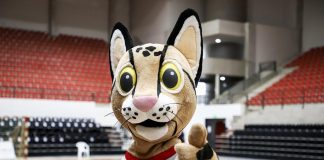 Tirika ya tiene cuenta de Instagram y Tik Tok