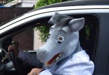 ¿Quién es Gilberto el Burro?