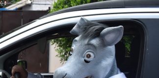 ¿Quién es Gilberto el Burro?