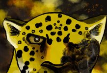 Estrenan serie animada sobre el Chaco en honor a los Pueblos Indígenas