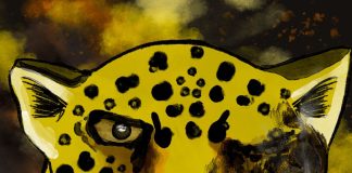 Estrenan serie animada sobre el Chaco en honor a los Pueblos Indígenas