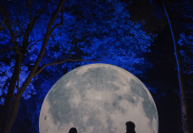 El parque Seminario se convertirá en un bosque de luces inmersivo