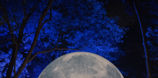 El parque Seminario se convertirá en un bosque de luces inmersivo