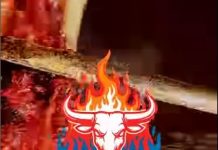 La carne y la música se fusionaron en la primera edición del “Jatapy Fest”