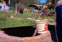 Crisis climática: niñas y adolescentes alertan sobre impactos en su vida y educación